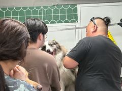 -爪吧宠物乐园 (温榆河示范区店)