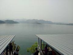 -望湖烤鱼