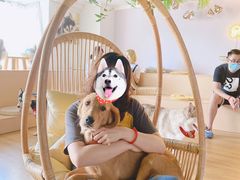 -Husky Go! 哈士奇体验馆·宠物咖啡厅狗咖