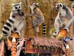 -北京野生动物园