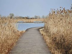 -盐城丹顶鹤湿地生态旅游区
