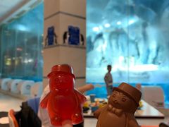 企鹅果冻-帝企鹅自助餐厅•儿童岛•真企鹅(长隆企鹅酒店)