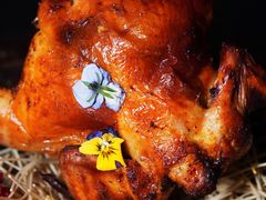 -Hi City·城市之巅