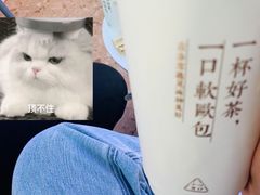 -奈雪的茶(观前街店)