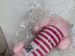 -中农国际动物医院24小时·猫科·骨科·急重症中心