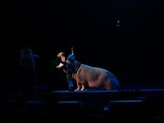 -广州长隆国际大马戏