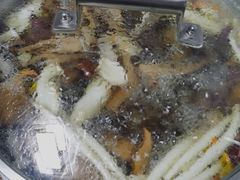 -菌极鲜野生菌火锅店(阳明祠店)
