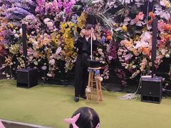 -正佳雨林生态植物园