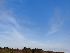 -东平国家森林公园烧烤