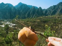 -孤山寨风景区