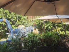 -品德宏·孔雀宴的发源地(金塔园店)