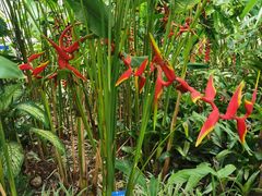 -中国科学院西双版纳热带植物园
