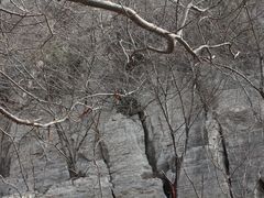 -青檀寺景区