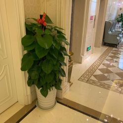 -南宁华美医疗美容医院