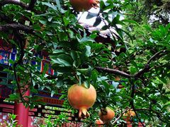 -南京金牛湖风景区