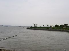 -海鸥岛