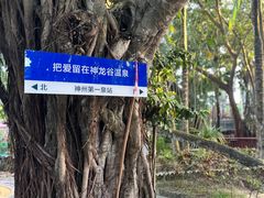 -三亚海棠湾南田温泉神龙谷