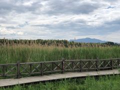 -野鸭湖国家湿地公园