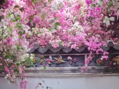 -深圳国际园林花卉博览园