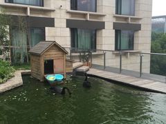 -行者书屋大堂吧 ·下午茶(南京圣和府邸酒店)