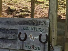 -神户市立六甲山牧场