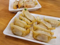 鲜肉锅贴-小姜锅贴(凤凰街店)