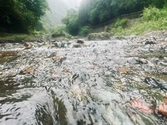 -西岭雪山大飞水景区
