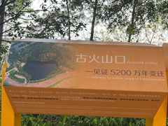 -王借岗森林公园