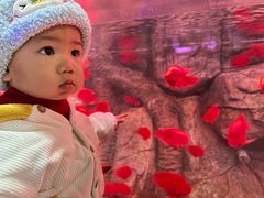 -泉城欧乐堡海洋极地世界