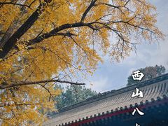 -八大处公园