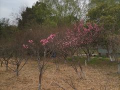 -苏州太湖国家湿地公园