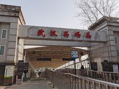 -武汉关码头(轮渡站)