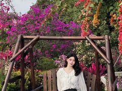-东莞植物园