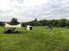 -宜兴龙背山森林公园