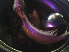 -勝記酒家·37年老字号·经典粤菜(荔枝公园店)