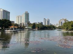 -荔湾湖公园