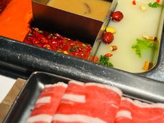 -鼎膳常火锅(华阳店)
