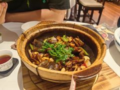 -侨美·唐荔园·40年地道粤菜