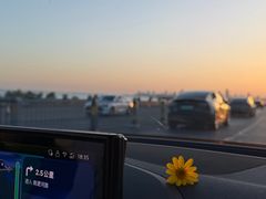 -合肥滨湖国家森林公园