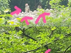 -北京上方山国家森林公园