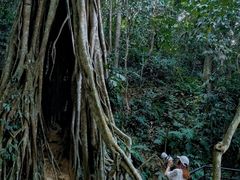 -中国科学院西双版纳热带植物园