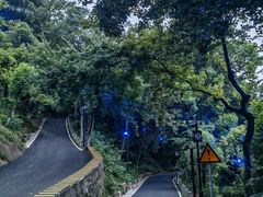 -龟山风景区-龟山电视塔
