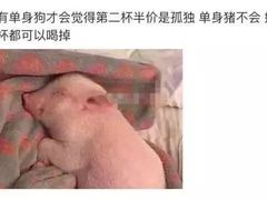 -清真烧麦馆(民族路店)
