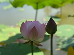 -金桥现代产业园区-停车场