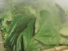 -圣罗巴海鲜烤肉自助(佳兆业店)