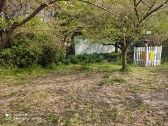 -苏州上方山国家森林公园