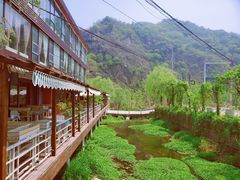 -Local泰莲庭(虹鳟鱼店)