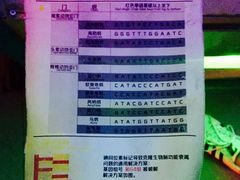 -魔方剧情密室(徐汇店)