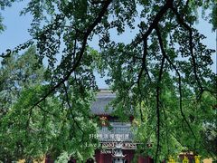-西园戒幢律寺