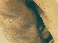 -田三卷馍(人民中路店)